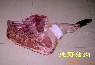 特种耐火材料相关产品